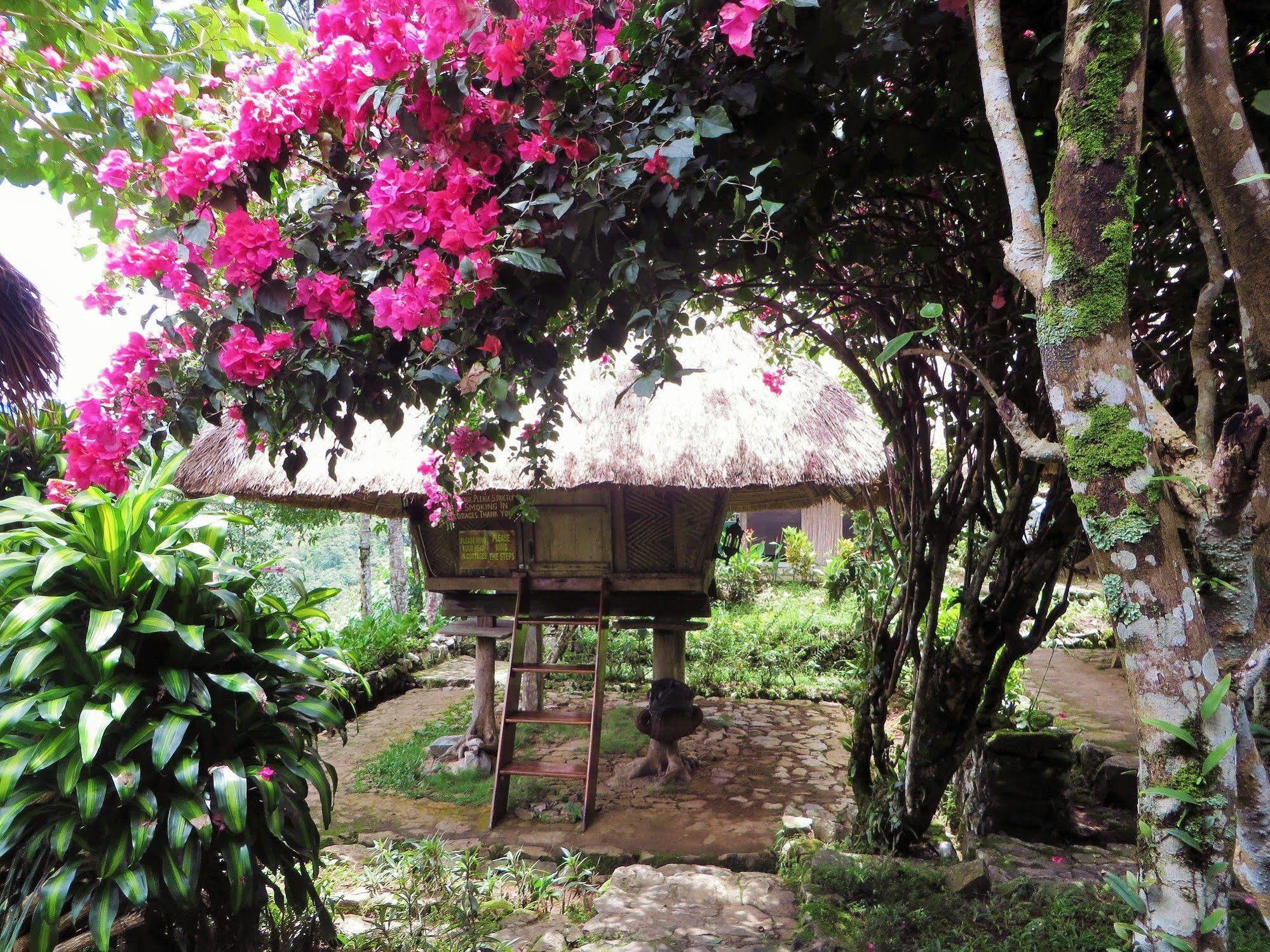 Native Village Inn Banaue Luaran gambar